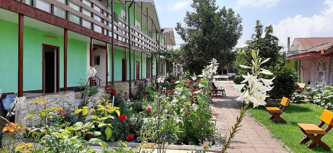 Casa Bucuria Hotel Costinesti Exterior photo